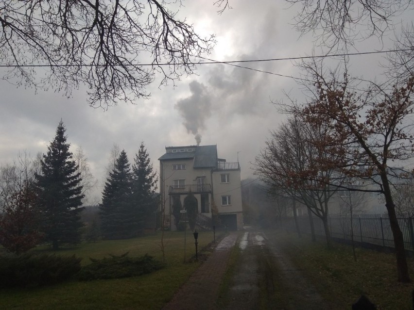 Strażnicy miejscy w Kielcach jechali w sprawie zadymienia i... zapobiegli pożarowi (ZDJĘCIA)