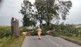 Burza nad powiatem sępoleńskim powaliła kilkanaście drzew