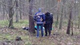 Tragiczne wiadomości! W lesie przy ul. Fordońskiej w Bydgoszczy znaleziono zwłoki [zdjęcia]