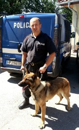 Pies Herman pomoże policjantom w Nysie