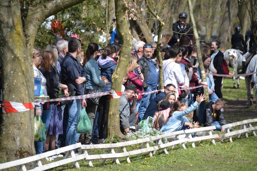 VI Powiatowe Targi Ogrodniczo-Rolne w Sypniewie cieszyły się...