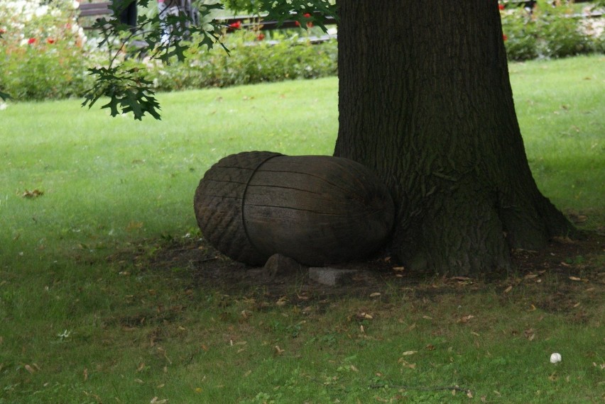 Obecnie obszar Ogrodu obejmuje 7,4 ha (i 0,33 ha pod szkłem)...