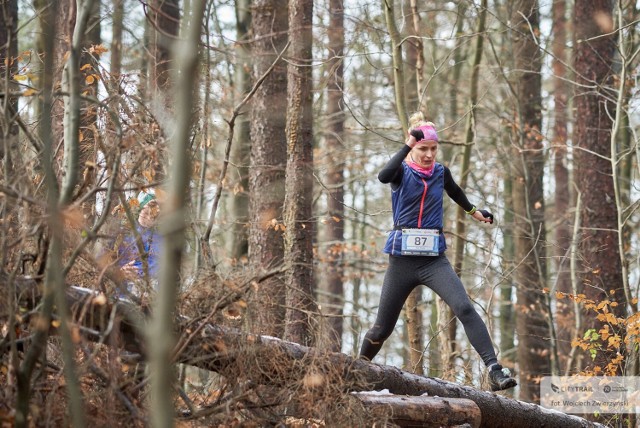 Zawody City Trail Trójmiasto to pięć wyzwań w lasach w Gdańsku i Gdyni