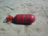 Zobacz co znaleziono na plaży w Krynicy Morskiej