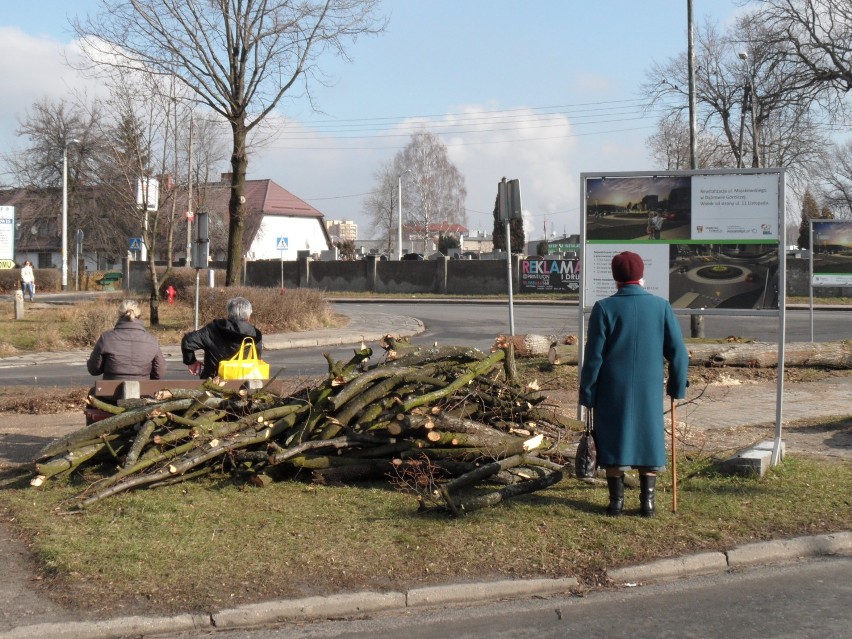 Na ul. Majakowskiego rozpoczęła się już wycinka drzew