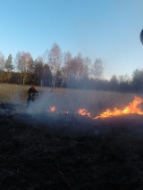 Pożary traw w Zawierciu i powiecie zawierciańskim