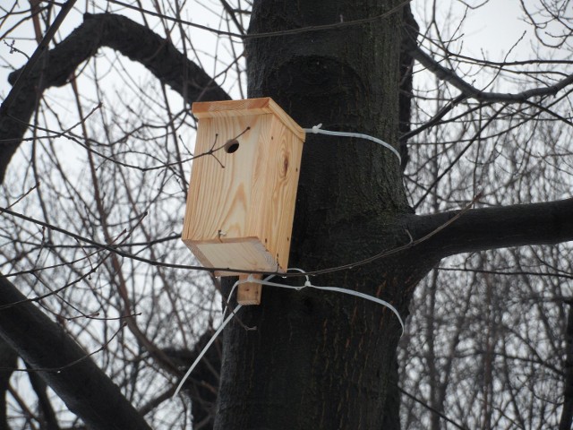 Budki lęgowe Chorzów