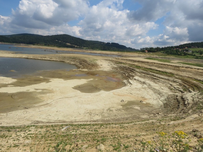 Jezioro Mucharskie, lipiec 2019