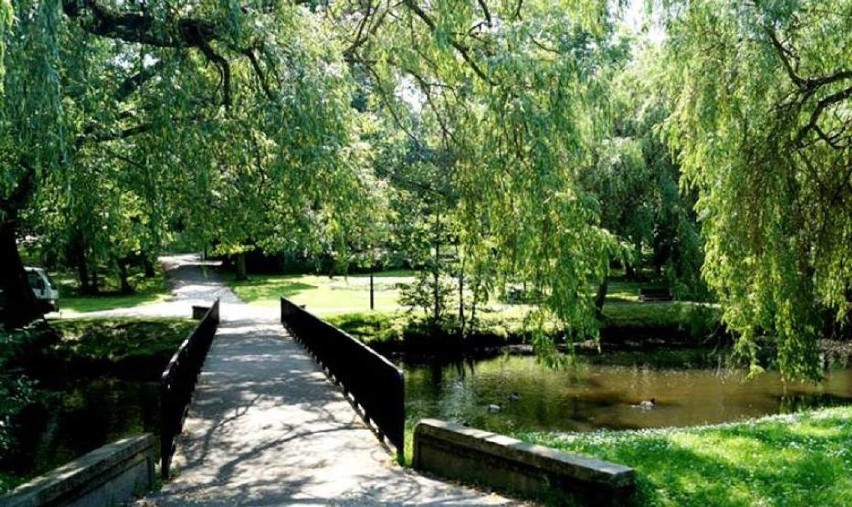 Zabytkowy park Sienkiewicza we Włocławku odzyska dawny urok