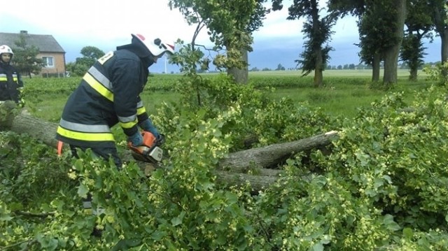 Strażacy z OSP Trzebcz Szlachecki m.in. wyjeżdżali usunąć zerwaną linię energetyczną