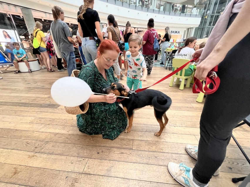 Zmieniając los piesków z gliwickiego schroniska! Międzynarodowy Dzień Psa w Centrum Handlowym Forum. Zobacz urocze zdjęcia 
