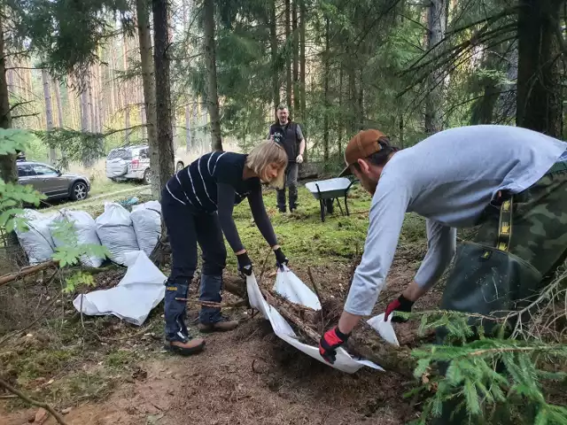 Przenosiny mrowiska w leśnictwie Jeziory