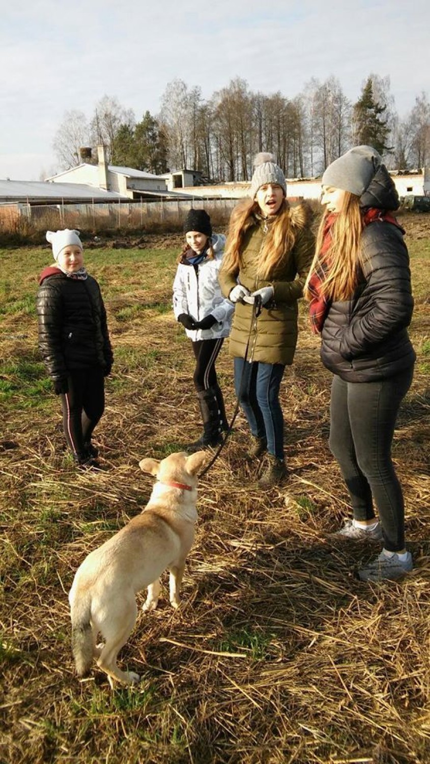 Gmina Sztabin. Uczniowie zbierali karmę dla zwierząt w schronisku