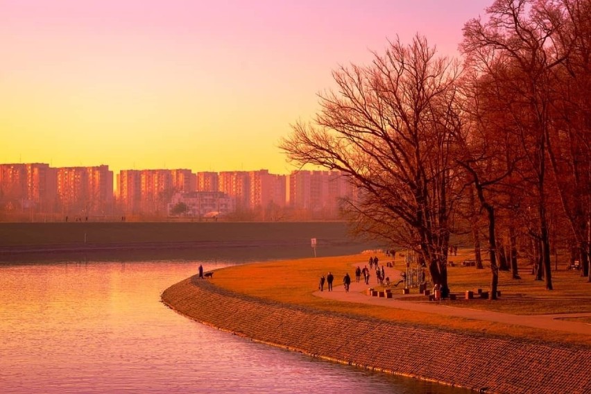 Park nad Odrą w barwach zachodzącego słońca. Zdjęcie...