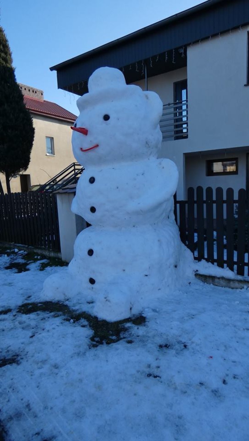 Panie i panowie. Czy to największy bałwan na Dolnym Śląsku? [ZDJĘCIA]