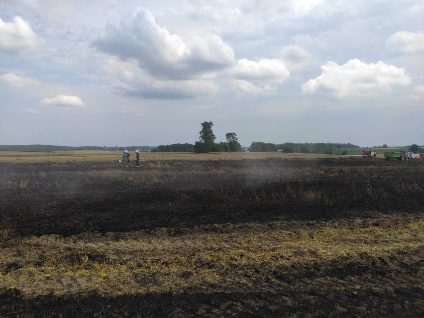 Pożar na polu w Raciborowicach, 17.07.2021