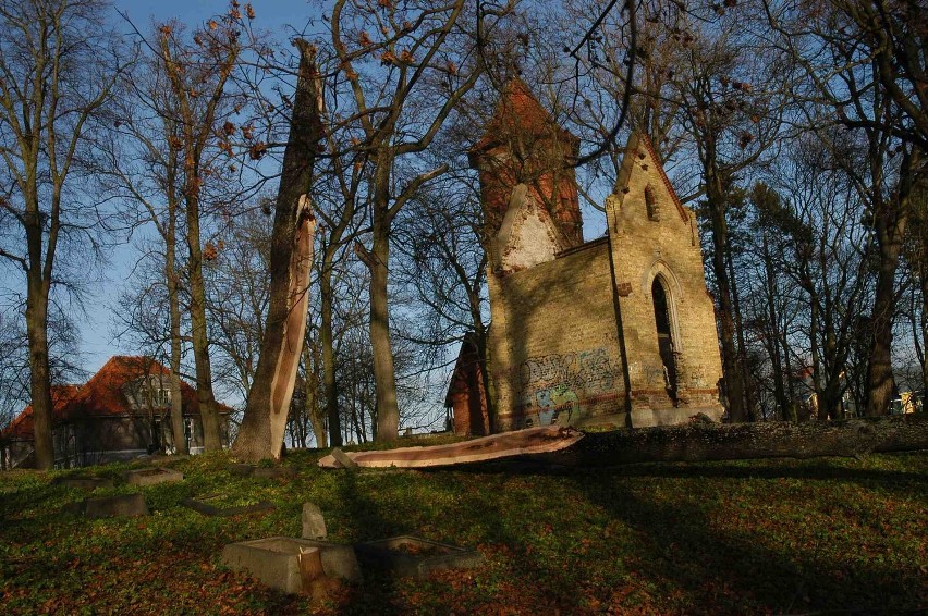 Sztum po wichurze. Połamane drzewa