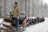 Kuligi na Kaszubach. Zobacz, gdzie, jak i za ile organizują zimowe przejażdżki