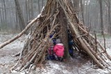 Leśne przedszkola i ich codzienność. Te dzieci wspinają się na drzewa i znają środowisko naturalne jak mało kto. Leśna edukacja w praktyce