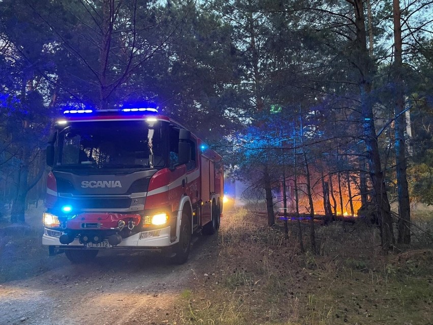 Policja nie prowadzi śledztwa w sprawie ewentualnych działań...