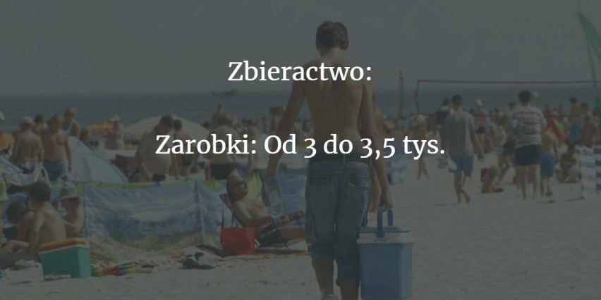 Praca na wakacje dla młodych. Gdzie jej szukać? Na co zwracać uwagę? Rodzaje prac sezonowych, wymagania, zarobki