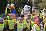 W poszukiwaniu Wielkanocnego Zająca. Radość przedszkolaków, gry i zabawy w ogrodzie Roberta Kocha