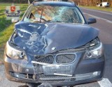 W Krasnem BMW zderzyło się z dwoma jeleniami. Kierowca i pasażer w szpitalu 