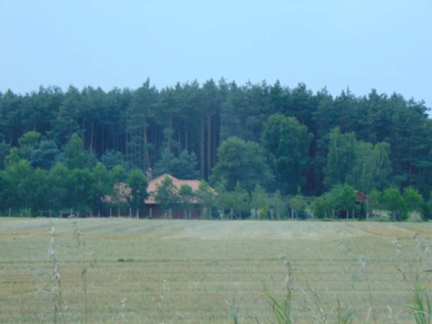 Miejscowości powiatu chodzieskiego. Klotyldzin i Sypniewo [ZDJĘCIA]