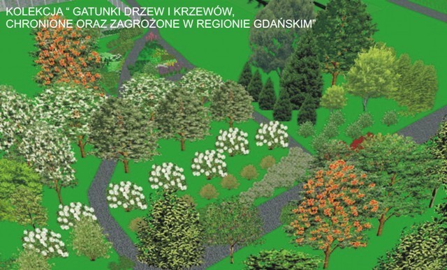 Las na Pustkach Cisowskich zamieni się w ogród. Powstanie miejsce z niespotykanymi roślinami