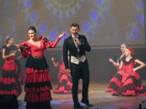 Wielka gala muzyki świata i operetki w Zamku Kazimierzowskim w Przemyślu [ZDJĘCIA]