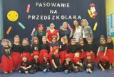 „Biedronki” i „Stokrotki” z przedszkola nr 4 dołączyły do grona pasowanych przedszkolaków