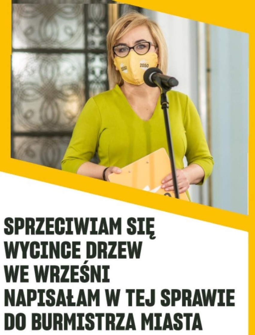 Września: Posłanka Paulina Hennig-Kłoska apeluje do burmistrza Wrześni - wycinka drzew nad Zalewem Lipówka