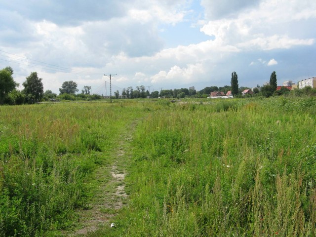 Na Stogach powstaną ogródki działkowe