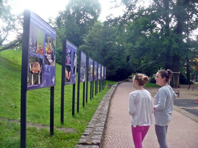 Plansze ze zdjęciami mieszkańców stoją tuż obok placu zabaw w parku położonym między ulicami Warowną i św. Jana Chrzciciela.