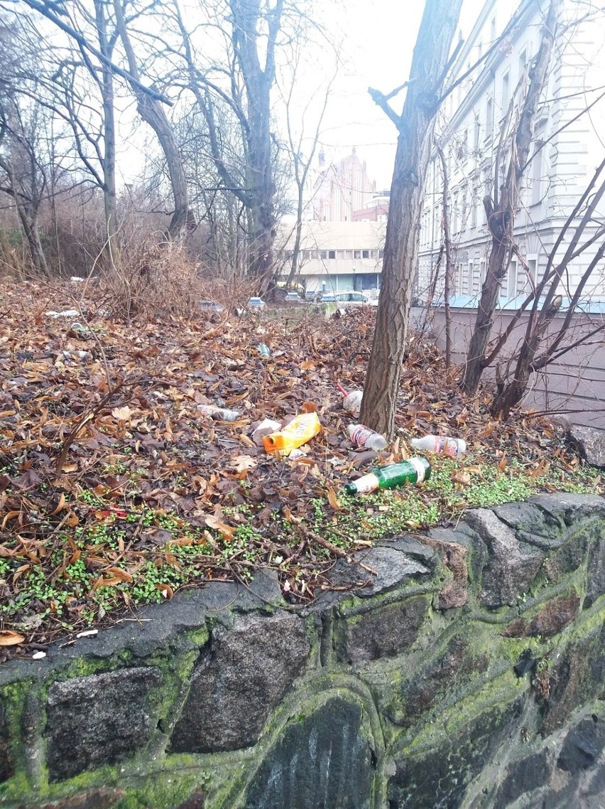 Śmieci przy Dworcowej w Szczecinie. Kto to posprząta? [ZDJĘCIA]