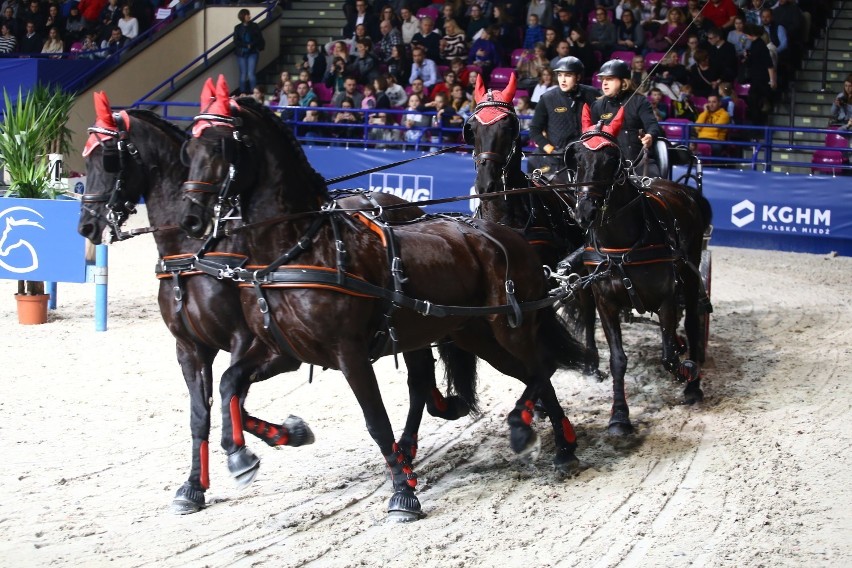 Targi Sprzętu Jeździeckiego Cavaliada 2019, Warszawa....