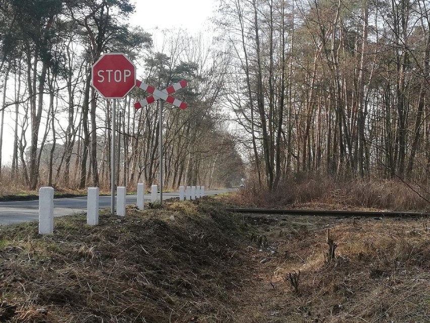 Grupa Kaliska Kolej Dojazdowa Wolontariat porządkuje okolice torów kolei wąskotorowej w Zbiersku i okolicach. Potrzebne są pieniądze