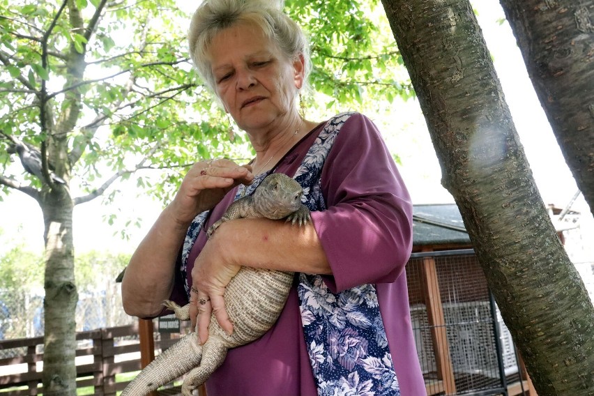 Mini Zoo Piotrówek koło Legnicy. Moc atrakcji nie tylko dla dzieci, zobaczcie zdjęcia