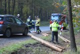 Na DK 74 w pobliżu miejscowości Osina kierowca tira "zgubił" ładunek. Z naczepy wysypały się bale drewna