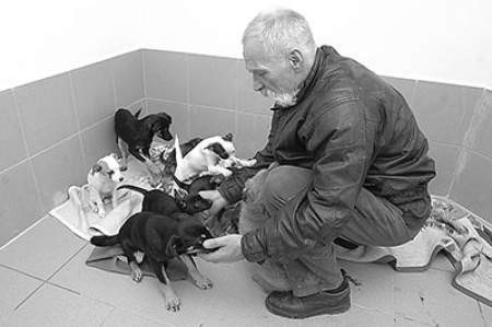 W schronisku przy ulicy Reksia psy żyją w komfortowych warunkach. Na zdjęciu z Czesławem Czaderem. Fot. Lucjusz Cykarski