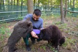 Zoo w Poznaniu: Cisna i Bari gwiazdami wspólnego filmu 