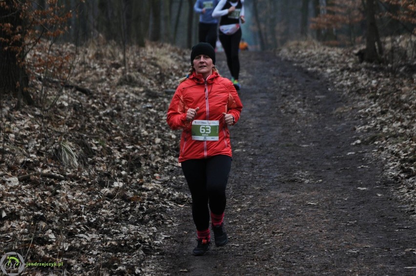 City Trail w Katowicach - zdjęcia z finałowego biegu [28 luty 2016]