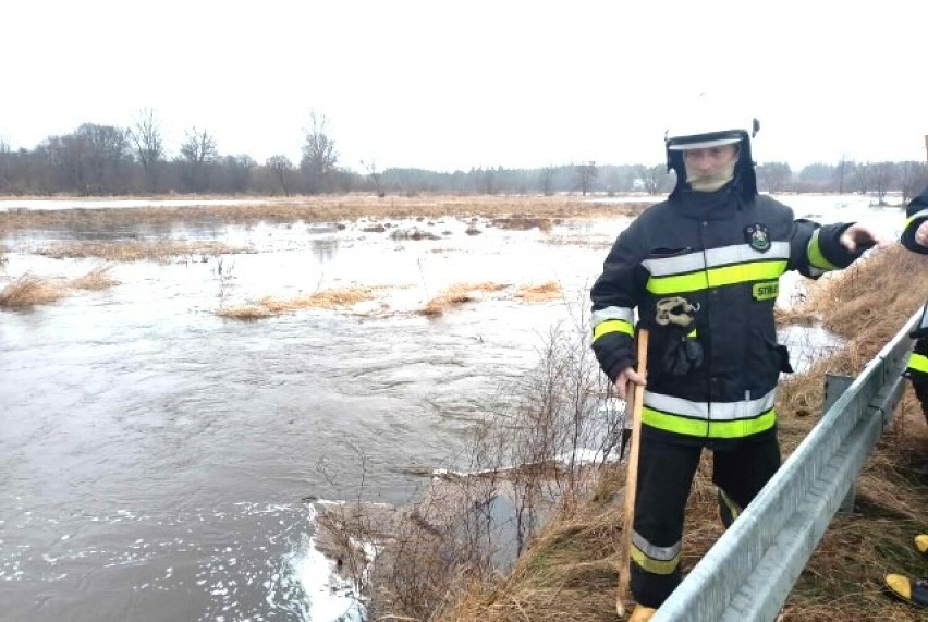 Wysoki poziom Warty w gminie Radomsko. Urzędnicy i strażacy uspokajają: "nie grozi nam powódź". ZDJĘCIA