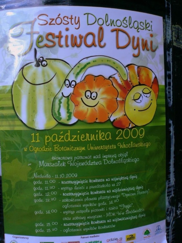 Po raz sz&oacute;sty odbył się we Wrocławskim Ogrodzie Botanicznym Festiwal Dyni.  Fot. E. Świączkowska