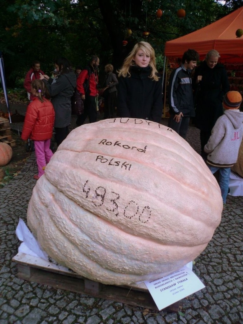 483 kg ważyła tegoroczna rekordzistka. Można było się za nią...