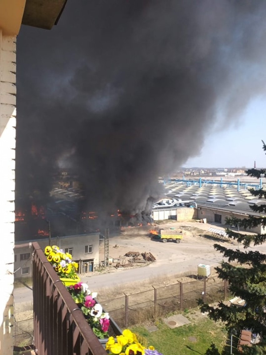 Pożar w fabryce mebli Fameg w Radomsku. Tak wyglądał moment wybuchu [FILM]
