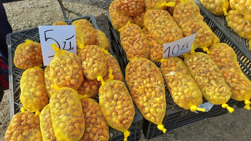Jakie ceny warzyw i owoców na targowisku w Opatowie? Co chętnie kupowaliśmy? Zobacz zdjęcia