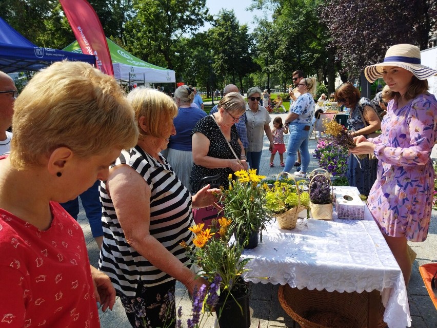 Kaliszanie chętnie odwiedzali targ kwiatowy na plantach. ZDJĘCIA