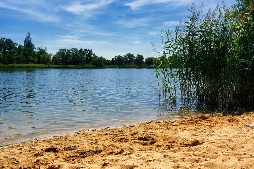 Kąpielisko w Jezierzanach - złoty piasek, czysta woda, dużo...