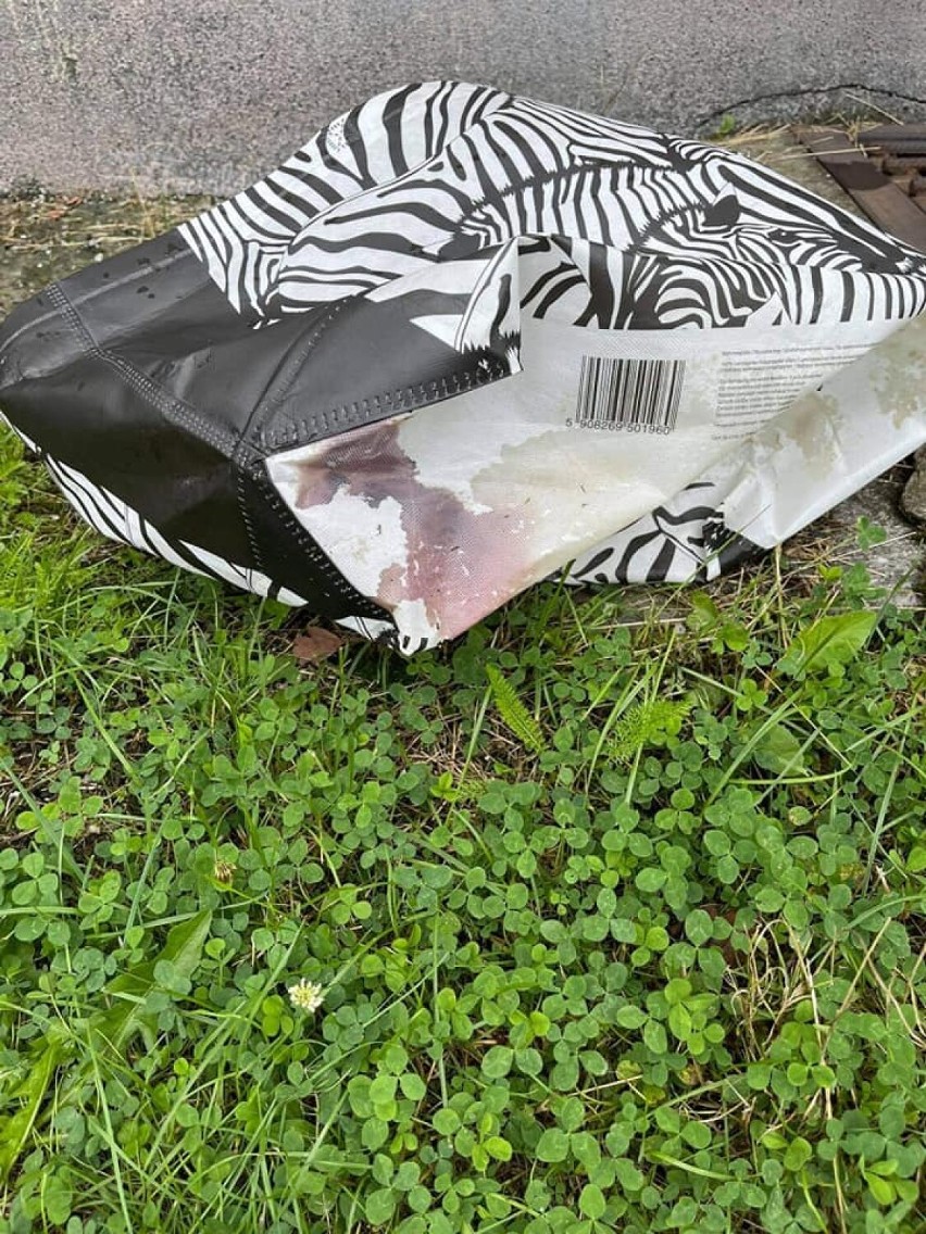 Makabra w Rybniku. Na śmietniku, w torbie, znaleziono martwego psa DRASTYCZNE ZDJĘCIA 